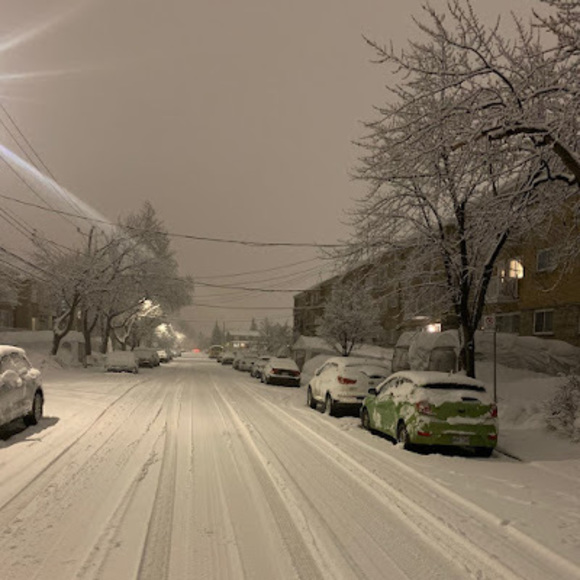 Meet your Posher, Sedric_ - Picture 1 of 1